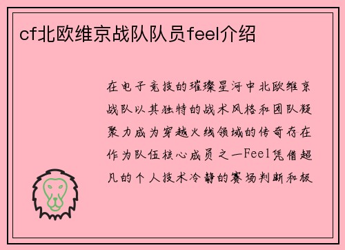 cf北欧维京战队队员feel介绍