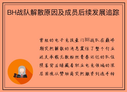 BH战队解散原因及成员后续发展追踪
