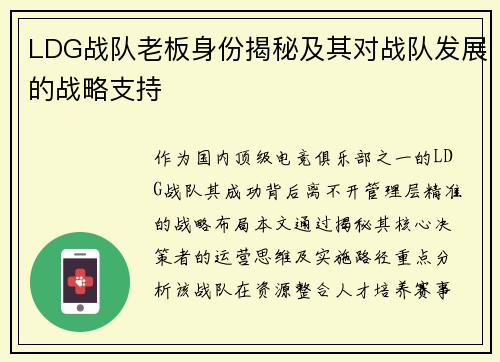 LDG战队老板身份揭秘及其对战队发展的战略支持